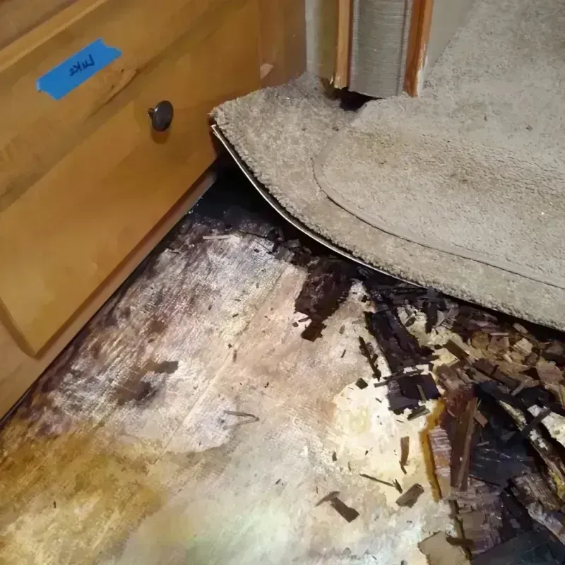 Wood Floor Water Damage in Corona, NY